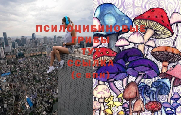 сатива Алексеевка
